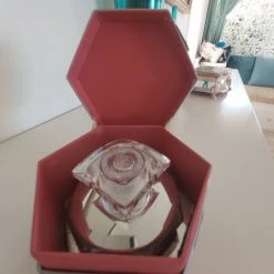 Vendora Spring Paradise γυναικείο αρωμα 100 Ml 9 Vendora Spring Paradise γυναικείο αρωμα 100 Ml -vendora shop 2ae05e044b452677efa3c8774d01539c67674409 xl