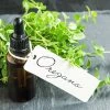 Vendora Oregano Oil 100% Pure Natural From Fresh Greek Oregano And Extra Virgin Olive Oil. -vendora shop 34231c0d3aa0c8fa00b8721b281819b313598c36 xl