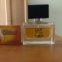 Vendora άρωμα Eau De Parfum Lily By Theo Parfums -vendora shop 97e8adedfdb3ba6e679461bb1c61e9c105515b36 xl