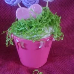 Vendora Αρωματικα σαπουνακια τριανταφυλλα σε γλαστρα που μυριζουν υπεροχα αρωματα για τους αγαπημενους σας φιλους