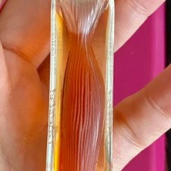 Vendora Άρωμα Organza Givenchy Miniature 5ml 6 Vendora Άρωμα Organza Givenchy Miniature 5ml -vendora shop a7ab1e249f671c195fd7c3f3b18cd983acec209f xl