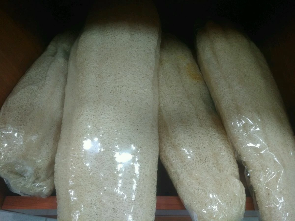 Vendora σφουγγάρι φυτικό 40εκ 3 Vendora σφουγγάρι φυτικό 40εκ