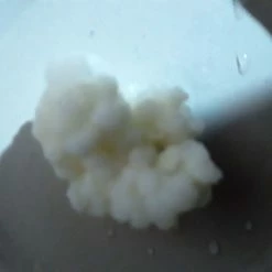 Vendora Πωλούνται σπόροι ΚΕΦΙΡ 7 Vendora Πωλούνται σπόροι ΚΕΦΙΡ -vendora shop f50242aa6b23a80f1c341606cd89915565848b02 xl